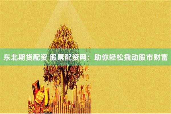 东北期货配资 股票配资网：助你轻松撬动股市财富