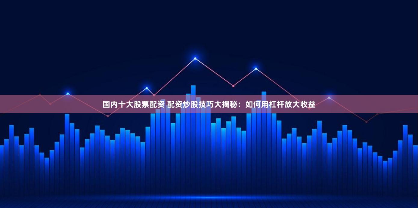 国内十大股票配资 配资炒股技巧大揭秘：如何用杠杆放大收益